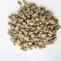 Chinese Hot Sale Arabica Raw Green Coffee Beans